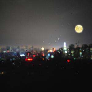 亚洲精品自慰喷水白浆
